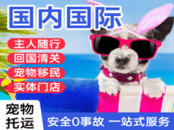 平潭机场邮寄国际宠物托运 【国
